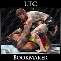 UFC Fight Night Cory Sandhagen vs. Rob Font